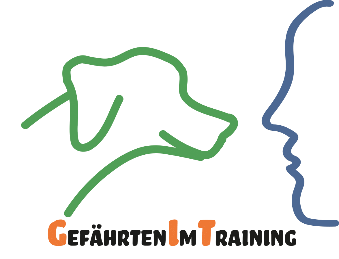 Bogumil GIT Logo mit Schriftzug